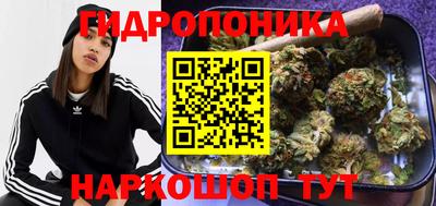 прущие крисы Нарткала