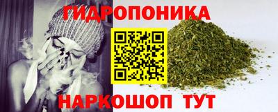 прущие крисы Нарткала
