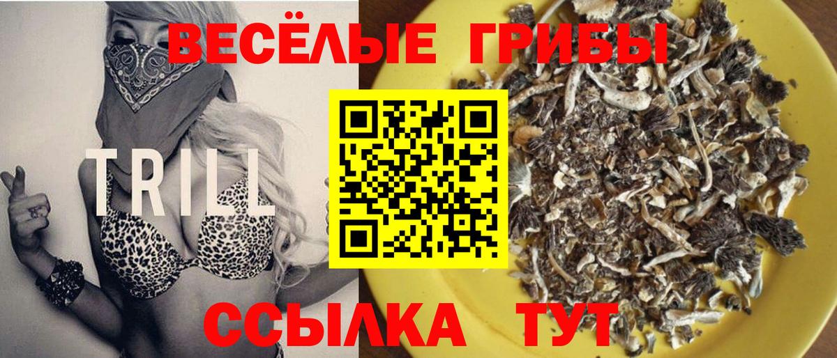 Галлюциногенные грибы мухоморы Советск
