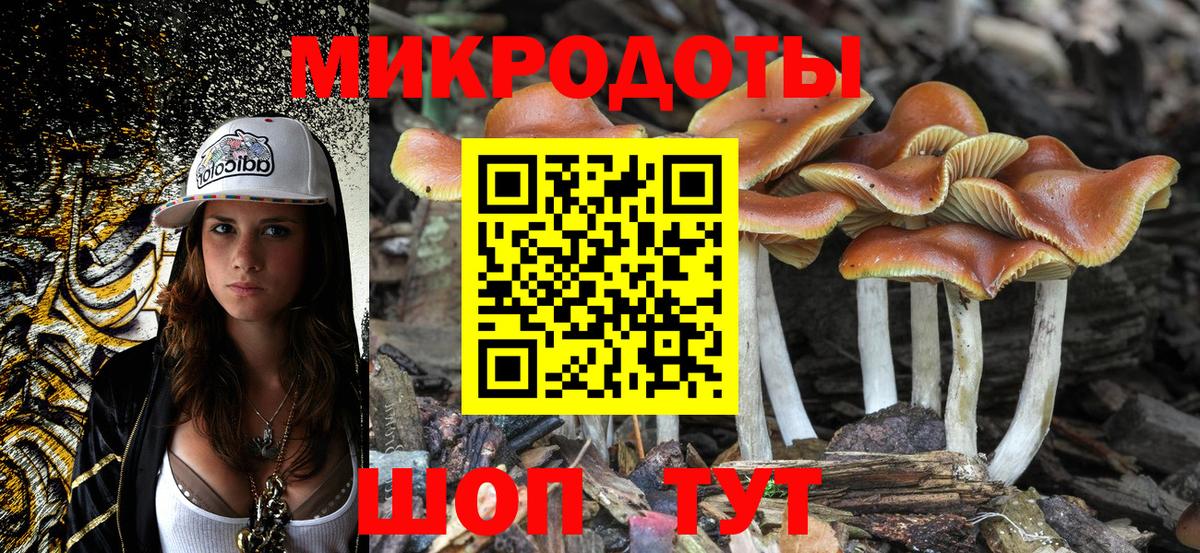 Псилоцибиновые грибы Psilocybine cubensis  Вход с VPN  Советск 